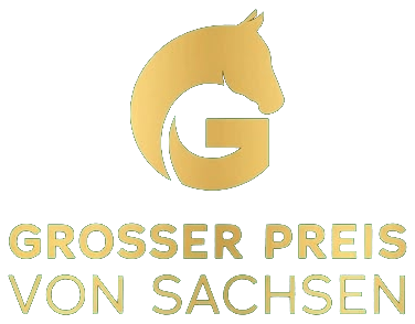 Großer Preis von Sachsen – Sport, Messe, Show